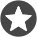 professional recruitment firm icon